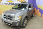 2009 Ford Escape Limited