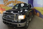2011 Ford F-150 XL
